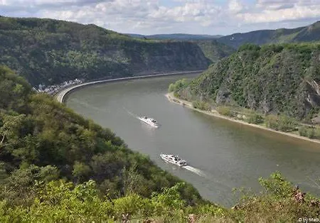 Holzfeld アパート ボッパルト